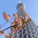 旅日族先別慌！入境簽證一口氣暴漲5倍　林氏璧：台灣僅2類人受影響