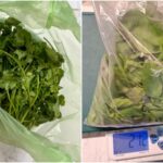 新光三越、鍋董等都中鏢！北市抽驗蔬果13件農藥超標　九層塔成重災區