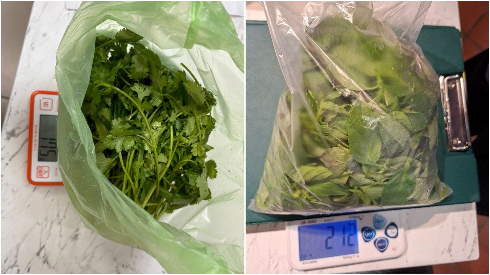 新光三越、鍋董等都中鏢！北市抽驗蔬果13件農藥超標　九層塔成重災區