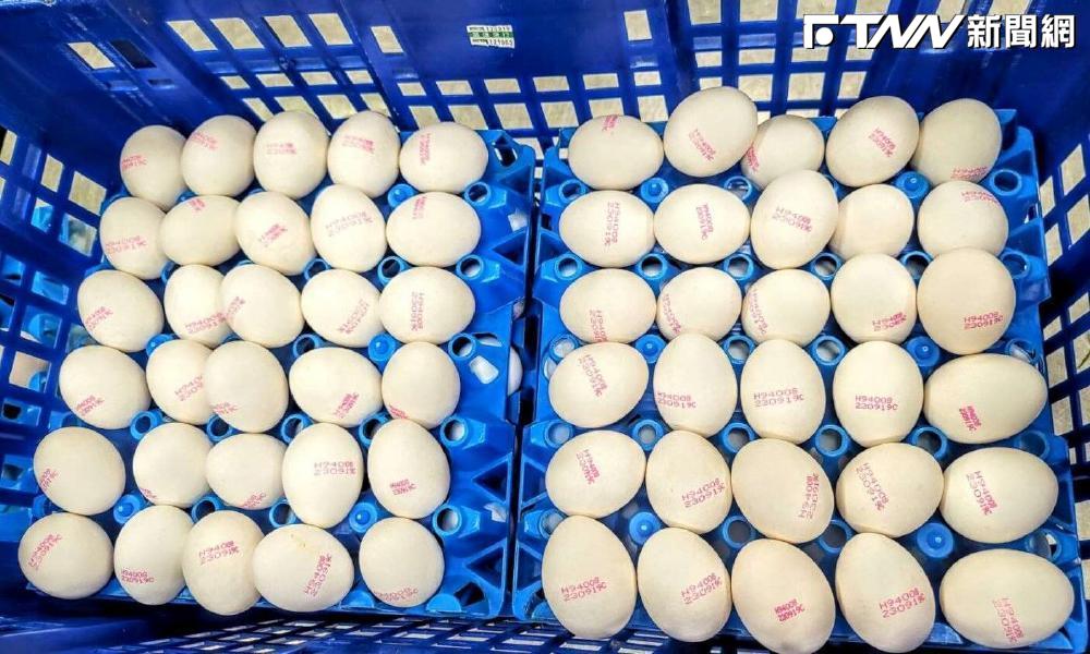 進口雞蛋成本僅18竟給32元？農業部「出聲」理由一次看
