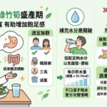 綠竹筍怎麼挑？專家：高纖助消化　多吃但少做1事小心腹脹、便祕