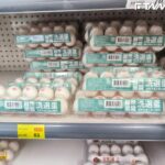 蛋農曝中秋過後蛋價將到「新高峰」！　農業部挨批產銷調控失能