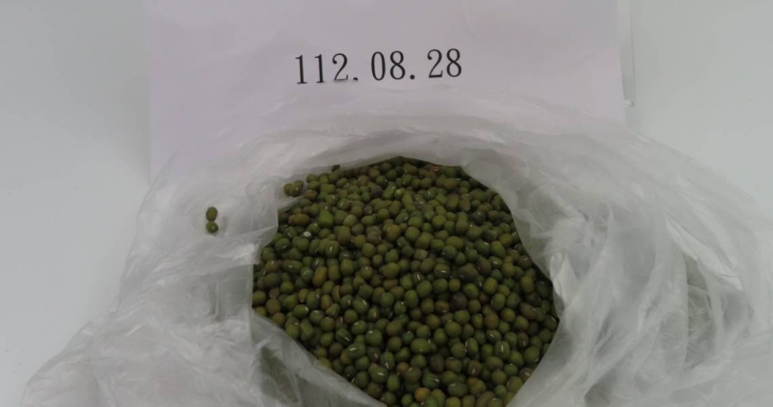進口綠豆、黑芝麻驗出劇毒「磷化氫」160噸全退運 日本丁香魚也出包