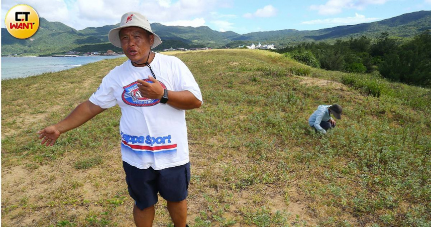 海米保衛戰2／全台稀有植物最多的海邊　觀光客大量採摘險成歷史
