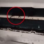 太驚悚！師傅拆洗冷氣驚見逾10隻蝙蝠「塞爆主機狂拉屎」　專家籲1防護漏洞必檢查