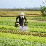 農退儲金新制來了！農民負擔比例「降至40%」追溯自元旦生效　8月起擴大適用對象