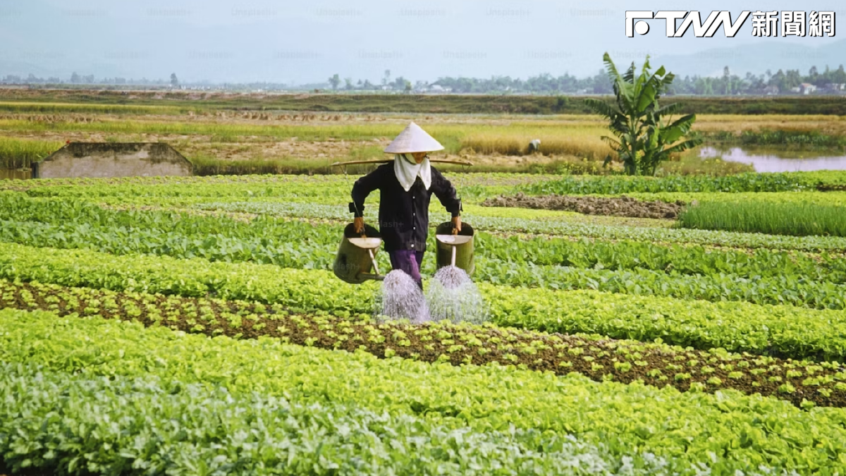 農退儲金新制來了！農民負擔比例「降至40%」追溯自元旦生效　8月起擴大適用對象