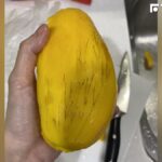 芒果壞了嗎？他削完皮驚見「爬滿黑絲」網笑像腿毛　 農業部：正常可以吃