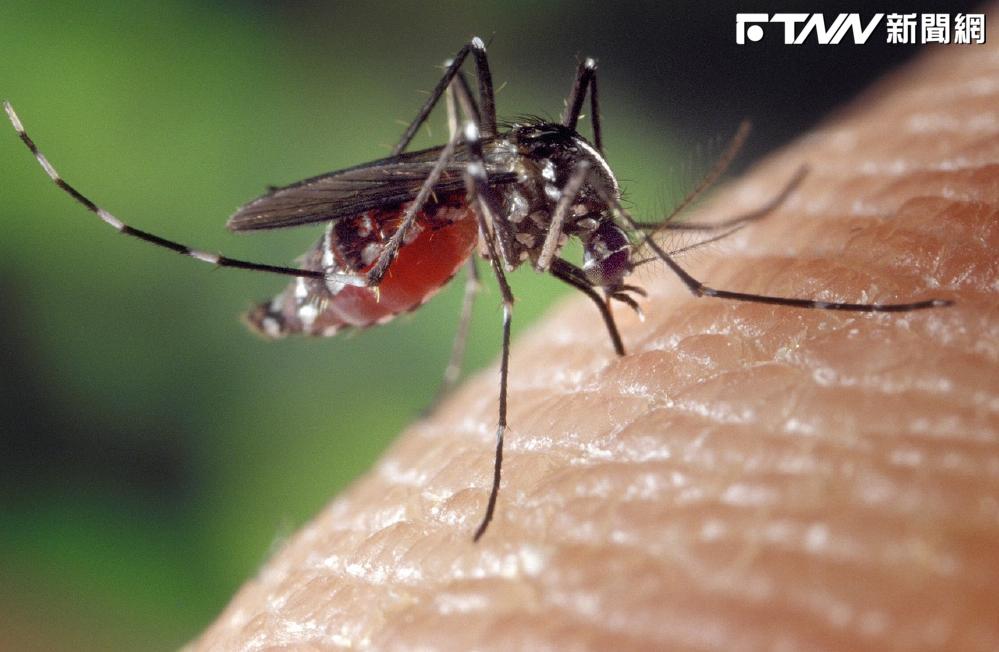 台南頻傳登革熱…已破萬例！此病「現無特效藥」　4症狀儘速就醫