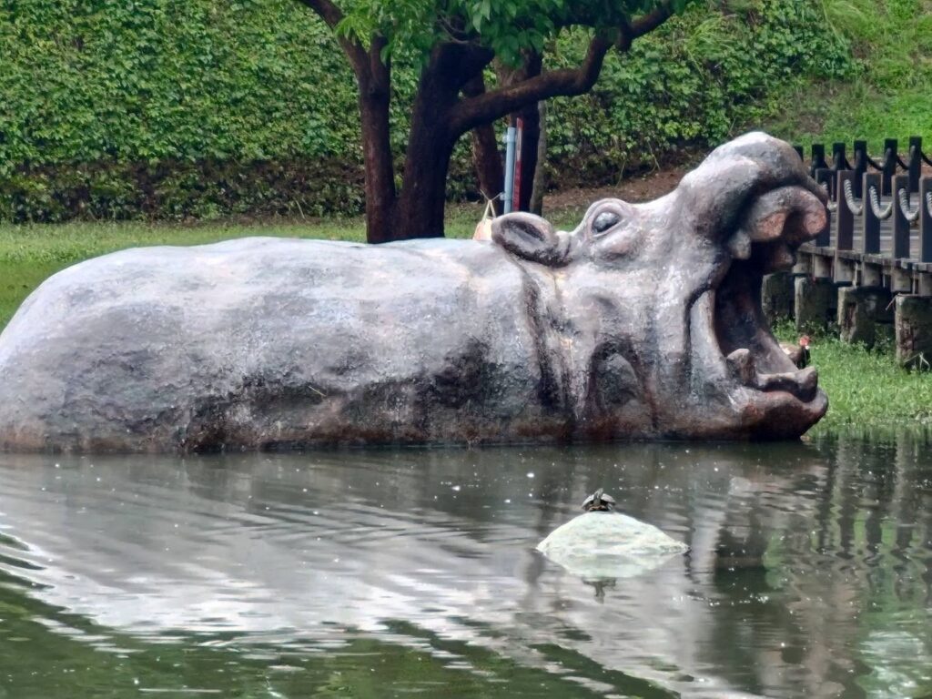 河馬雕像漂回湖面！　奇美博物館：也許只有法老才知道了