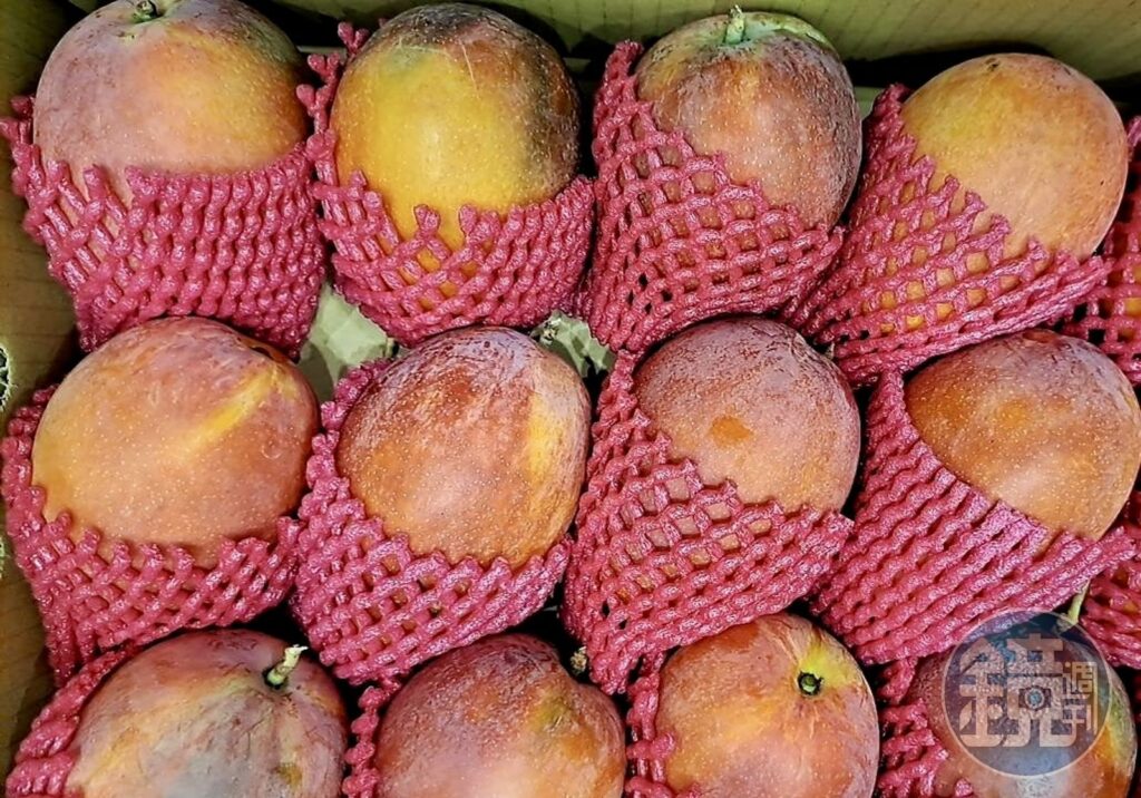 冰冰的水果最好吃？　農業部提醒：這4種太早冰「甜度打折扣」